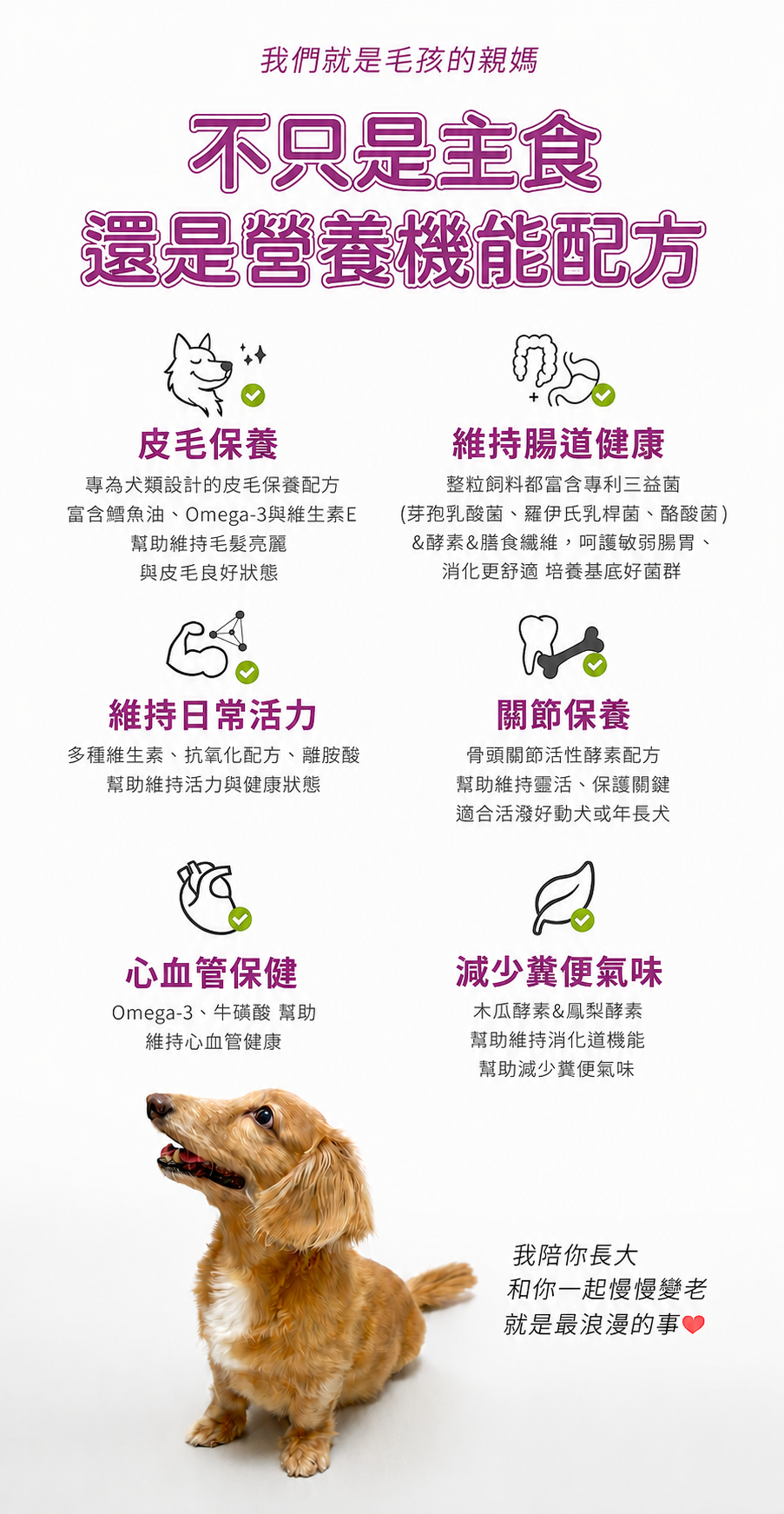 不只是主食 還是營養機能配方 6 大機能照顧