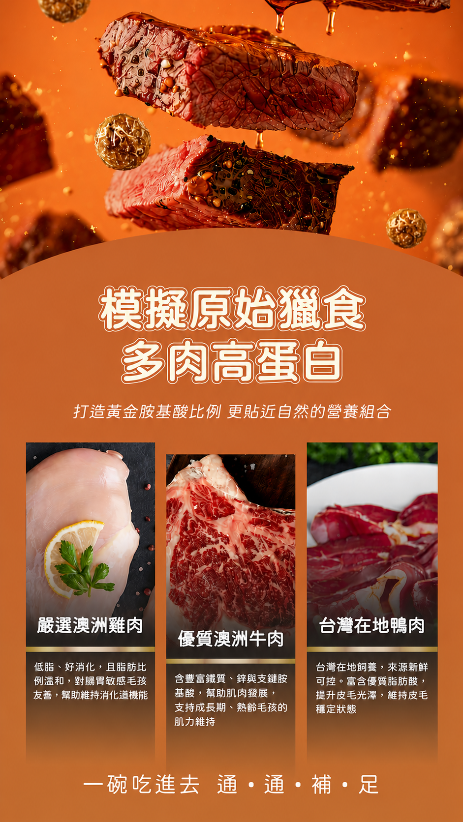 模擬原始獵食 多肉高蛋白
