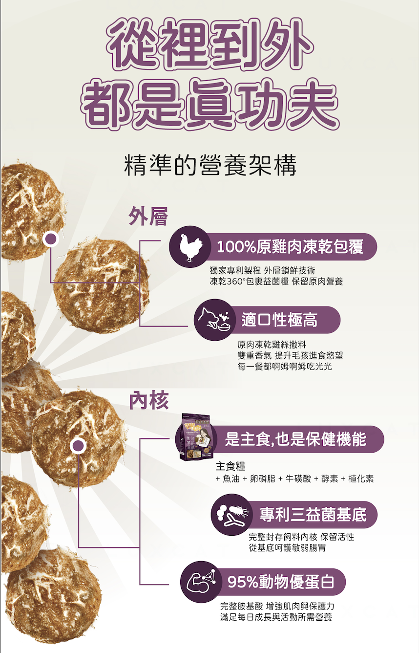 從裡到外都是真功夫 精準營養架構