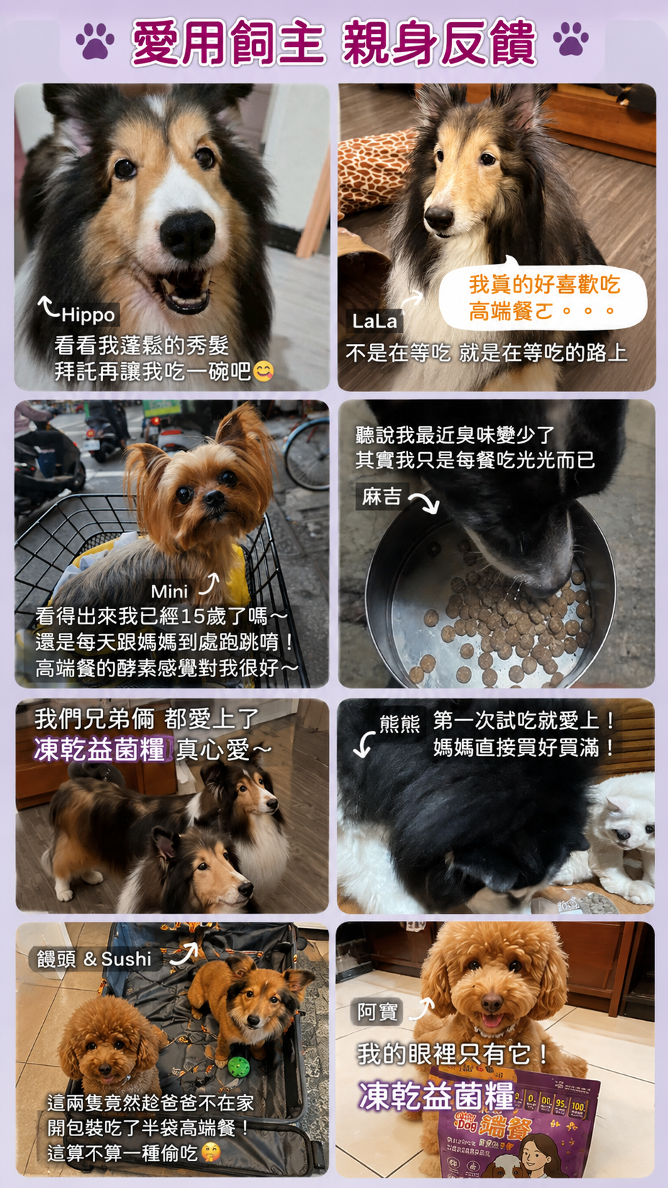 愛用飼主親身回饋