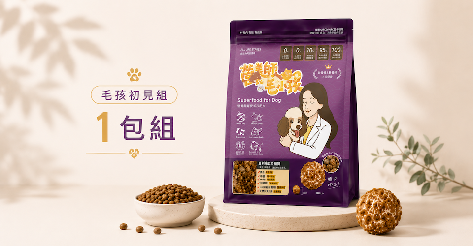 毛孩初見組